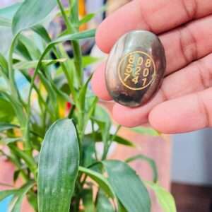 Zebu Pyrite Bracelet