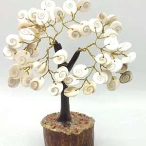 Gomti Chakra Tree