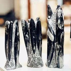 Orthoceras Tower